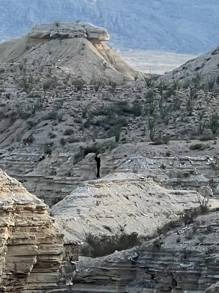 0100 Needle Peek Road Terlingua TX 79852