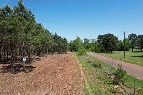 TBD Lincoln Springs Road Gladewater TX 75647