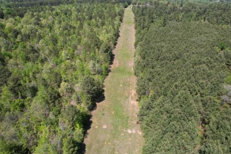 Tbd Lincoln Springs Road Gladewater TX 75647