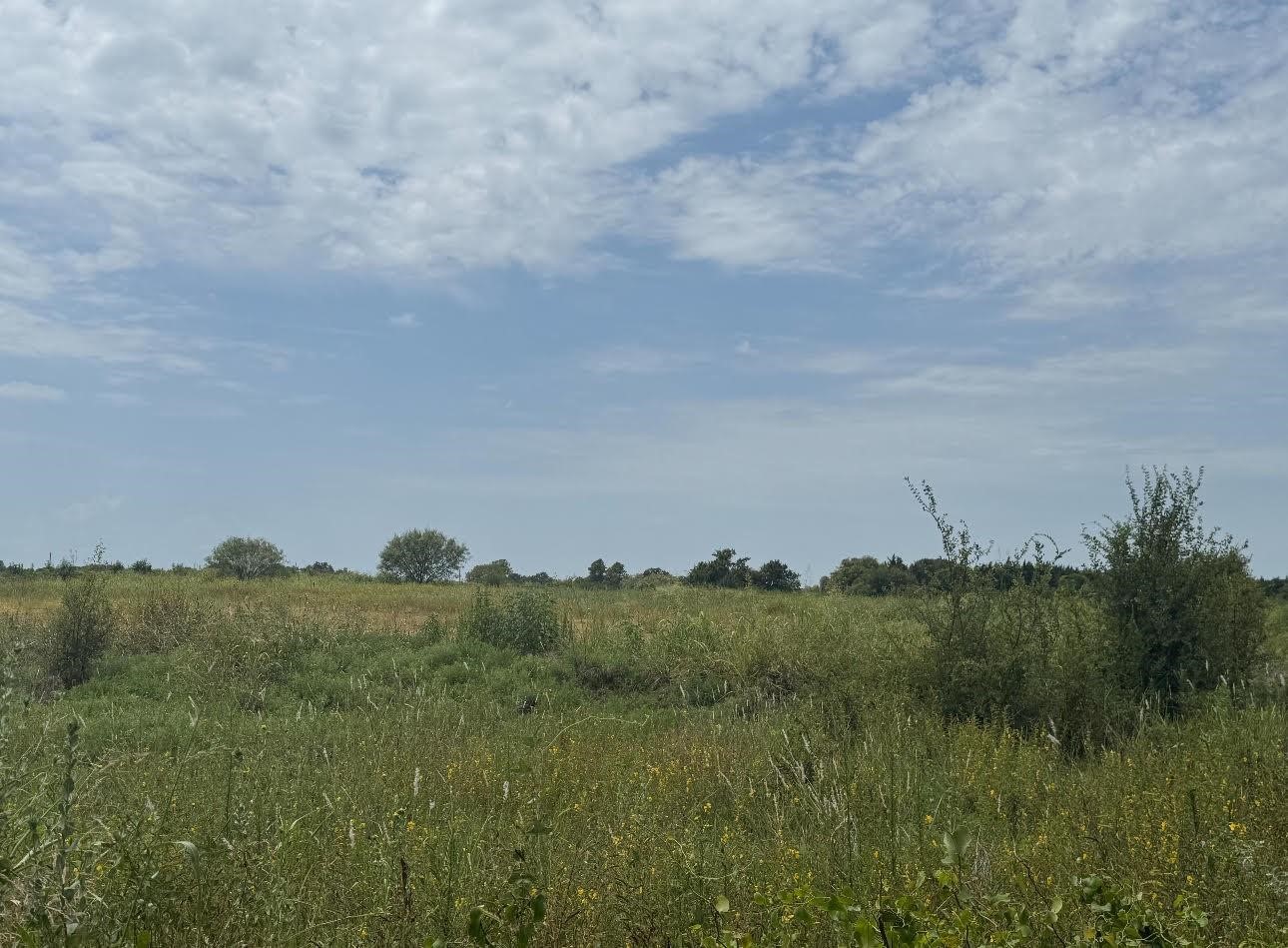 Tract E Hcr 1223 Whitney TX 76692