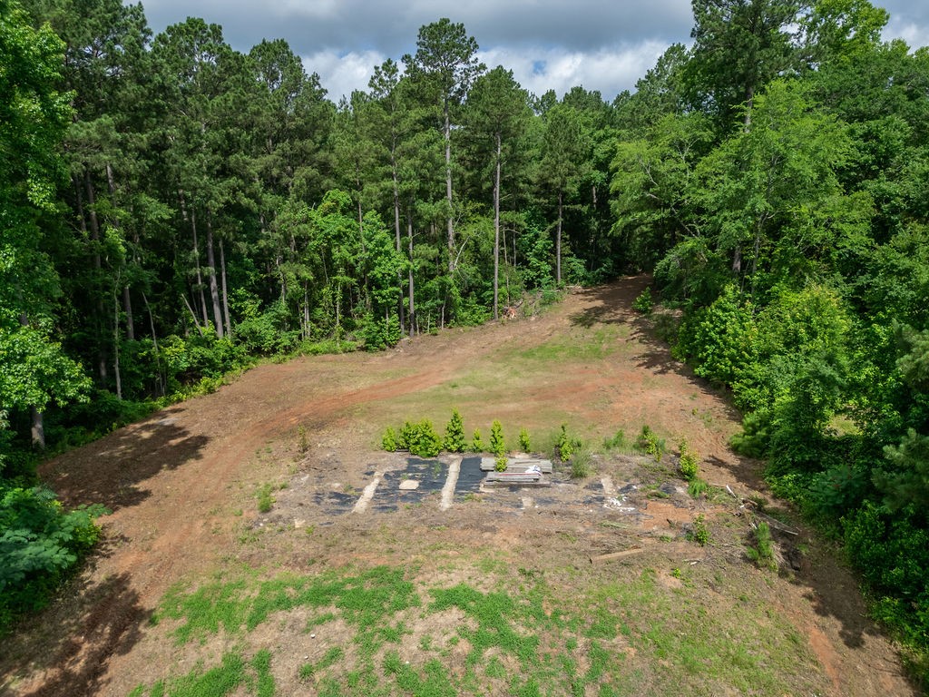 Tbd County Road 2232 Daingerfield TX 75638