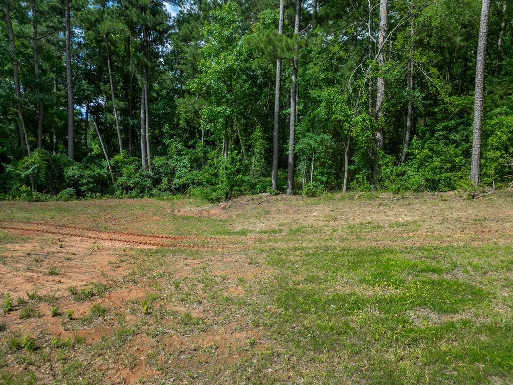 Tbd County Road 2232 Daingerfield TX 75638
