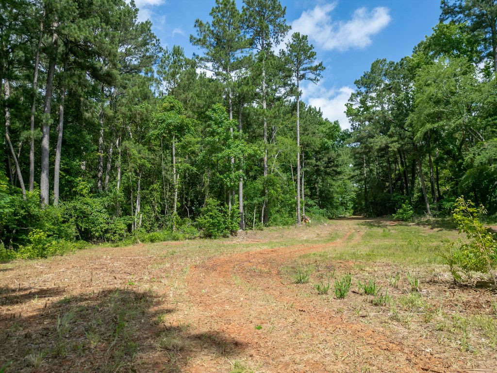 Tbd County Road 2232 Daingerfield TX 75638