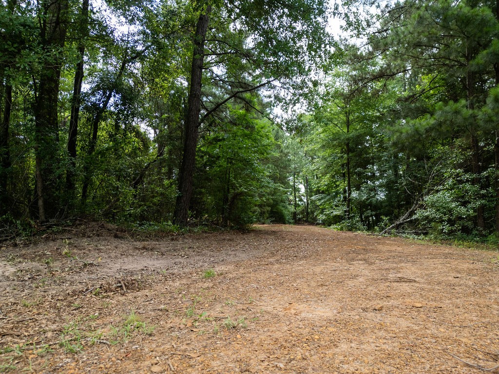 Tbd County Road 2232 Daingerfield TX 75638
