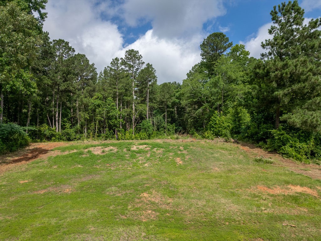 Tbd County Road 2232 Daingerfield TX 75638
