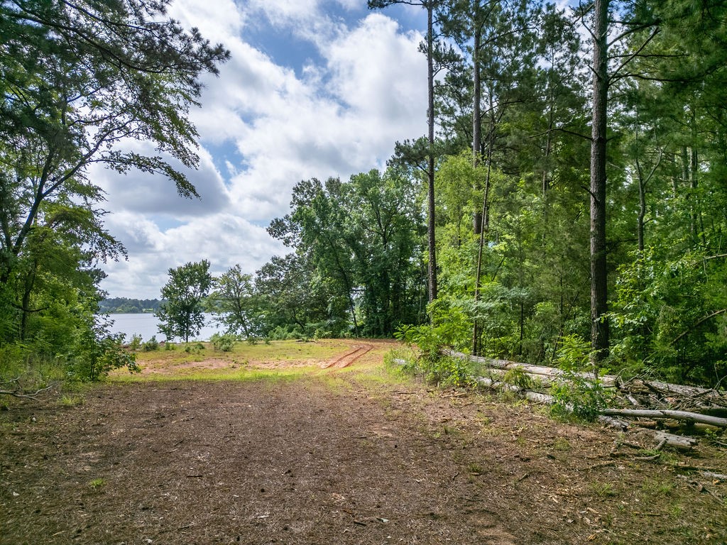 Tbd County Road 2232 Daingerfield TX 75638