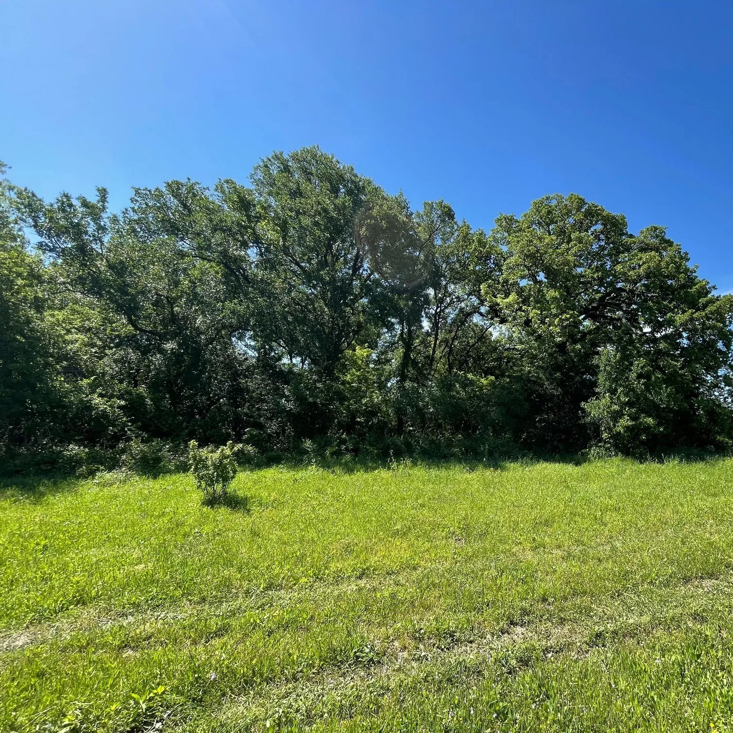 Tbd SW Cr 2250 Dawson TX 76639