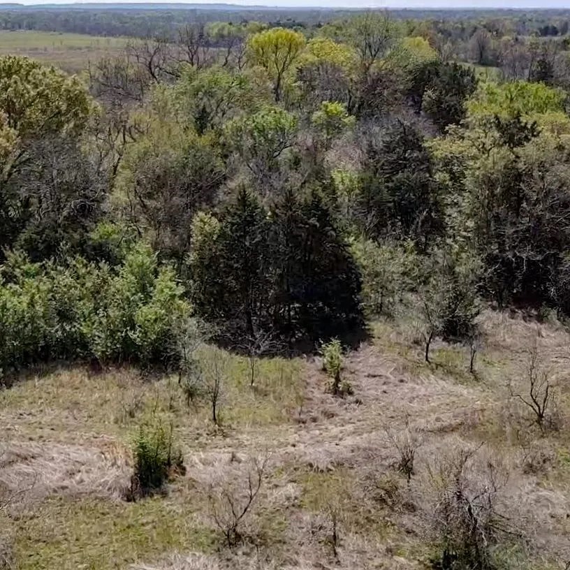 Tbd SW Cr 2250 Dawson TX 76639