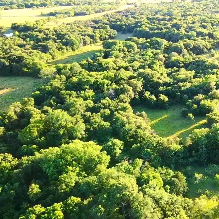 Tbd SW Cr 2250 Dawson TX 76639