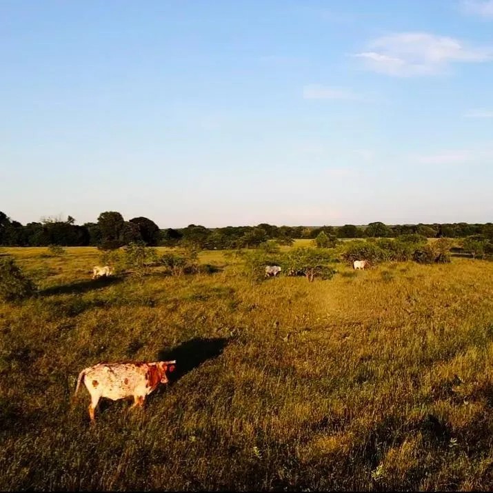 Tbd SW Cr 2250 Dawson TX 76639