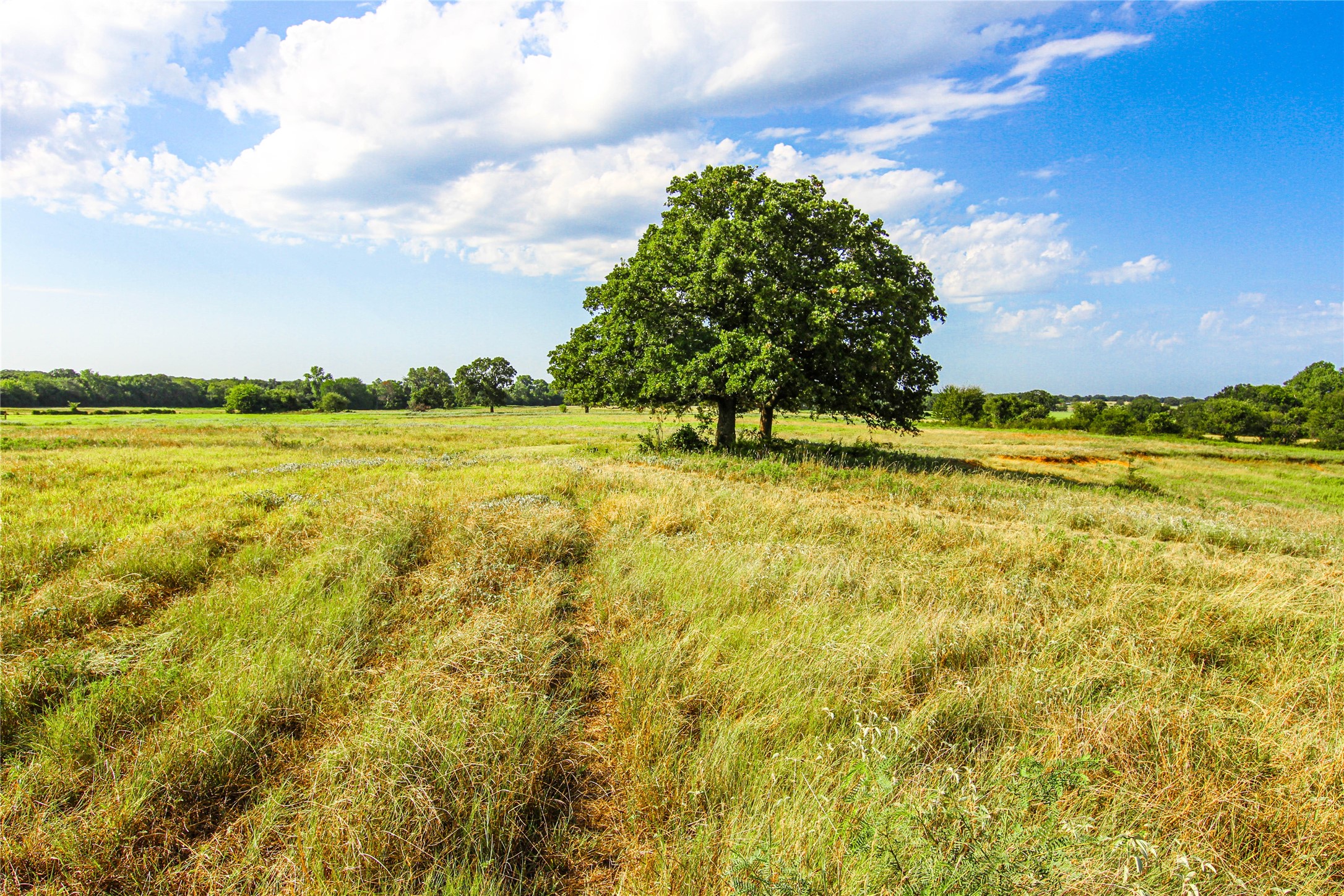 2215 Denver Road Sunset TX 76270