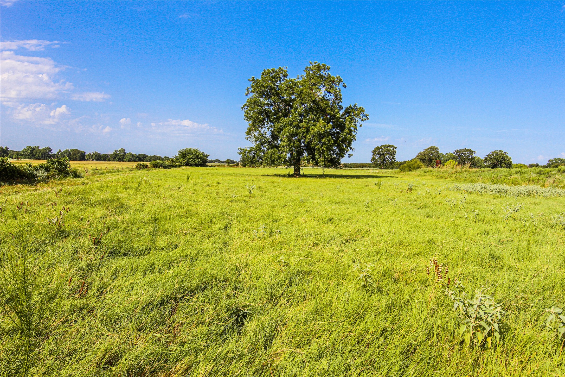 2215 Denver Road Sunset TX 76270
