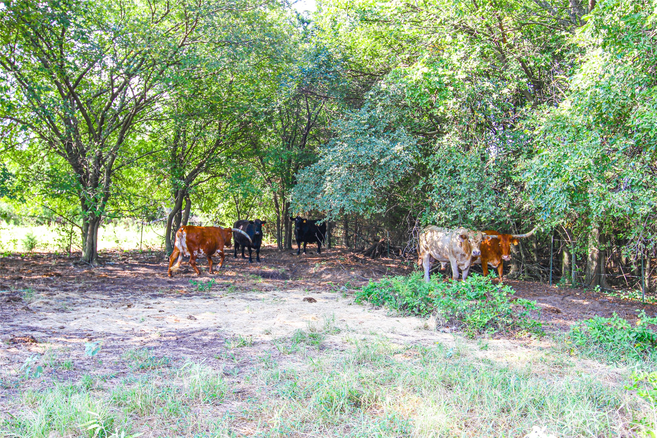 2215 Denver Road Sunset TX 76270