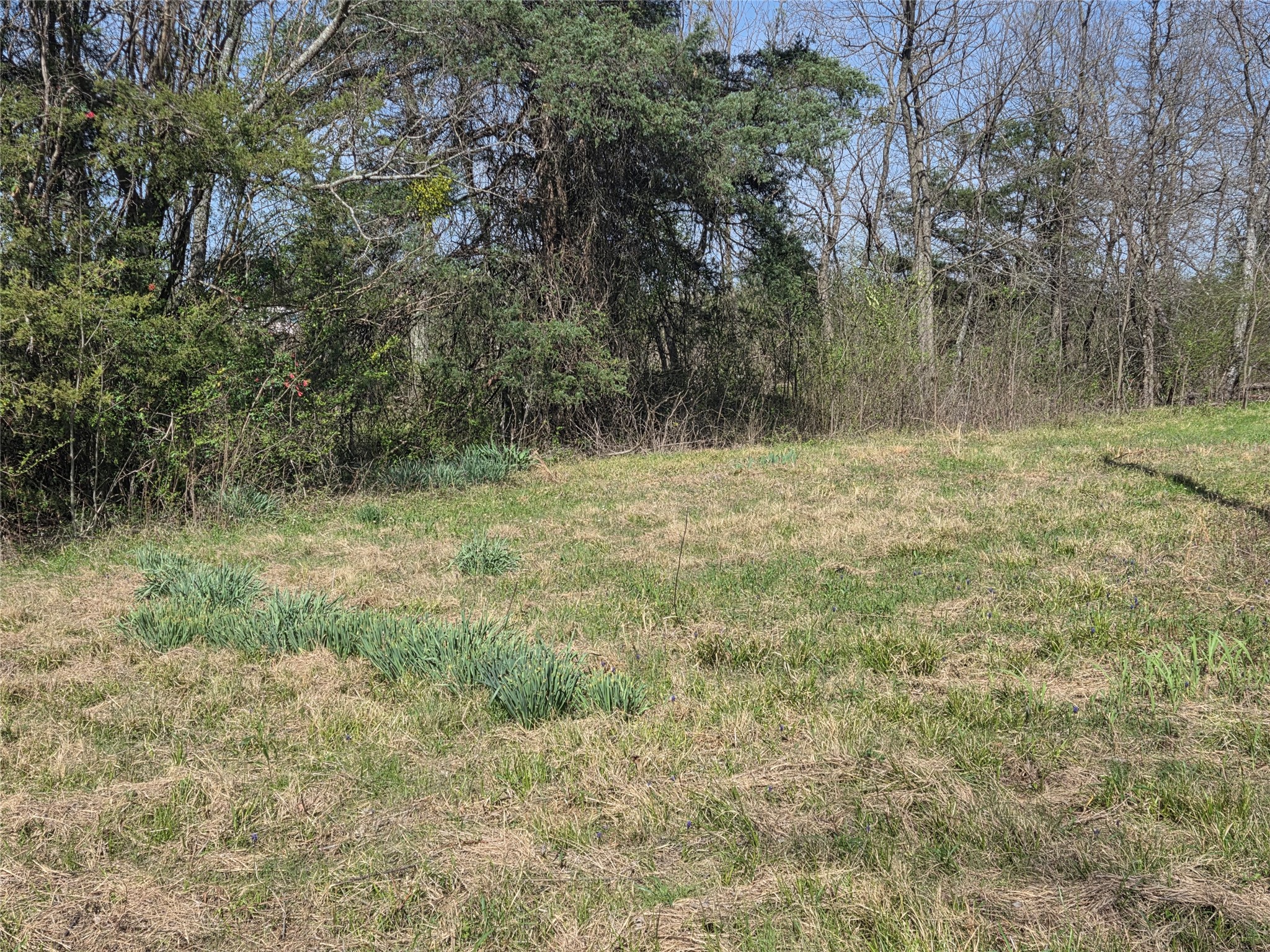 294 County Road 2809 Honey Grove TX 75446