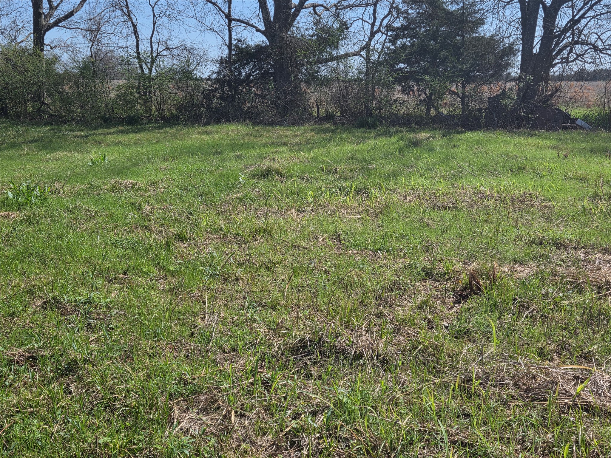 294 County Road 2809 Honey Grove TX 75446