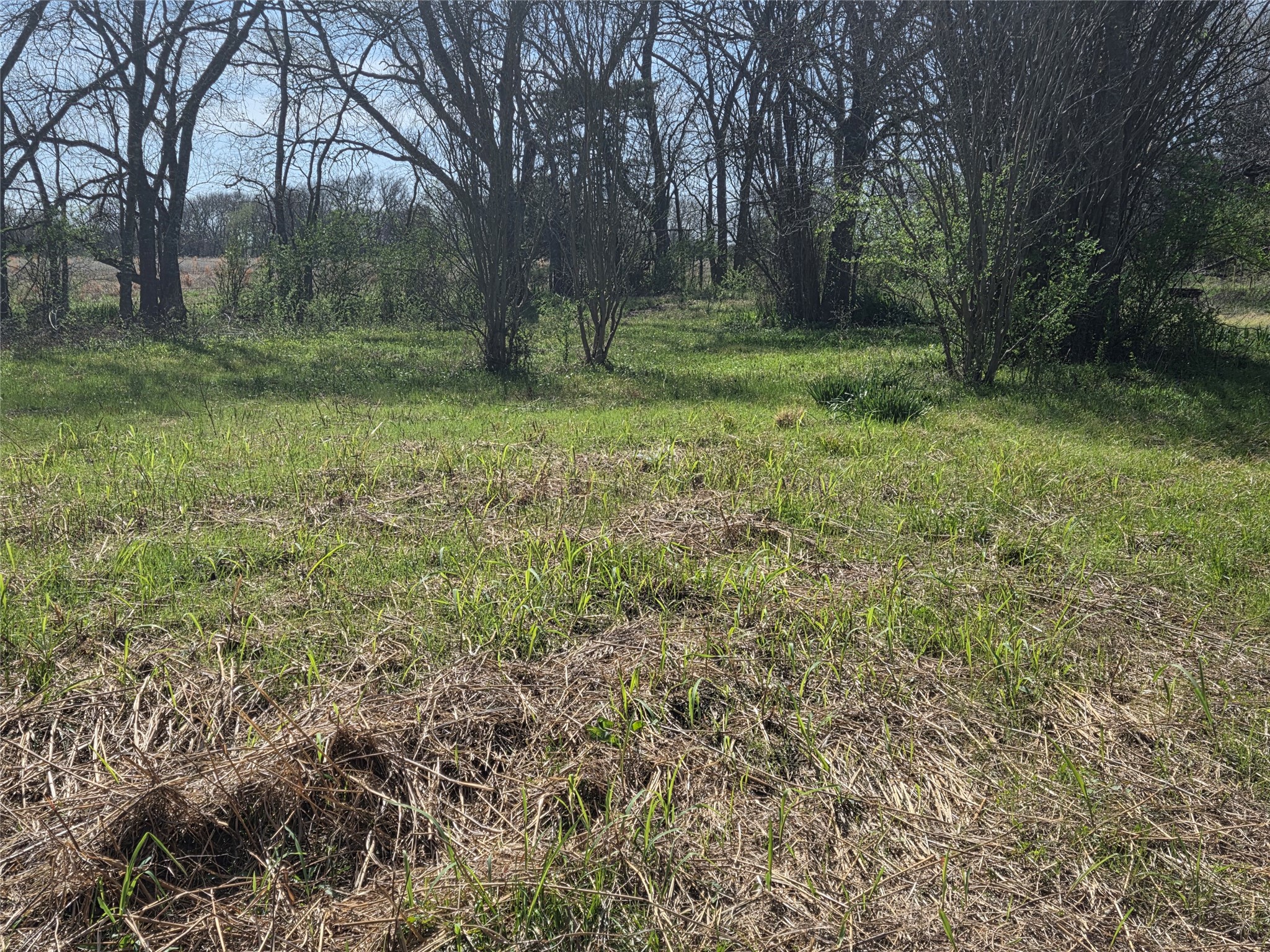 294 County Road 2809 Honey Grove TX 75446