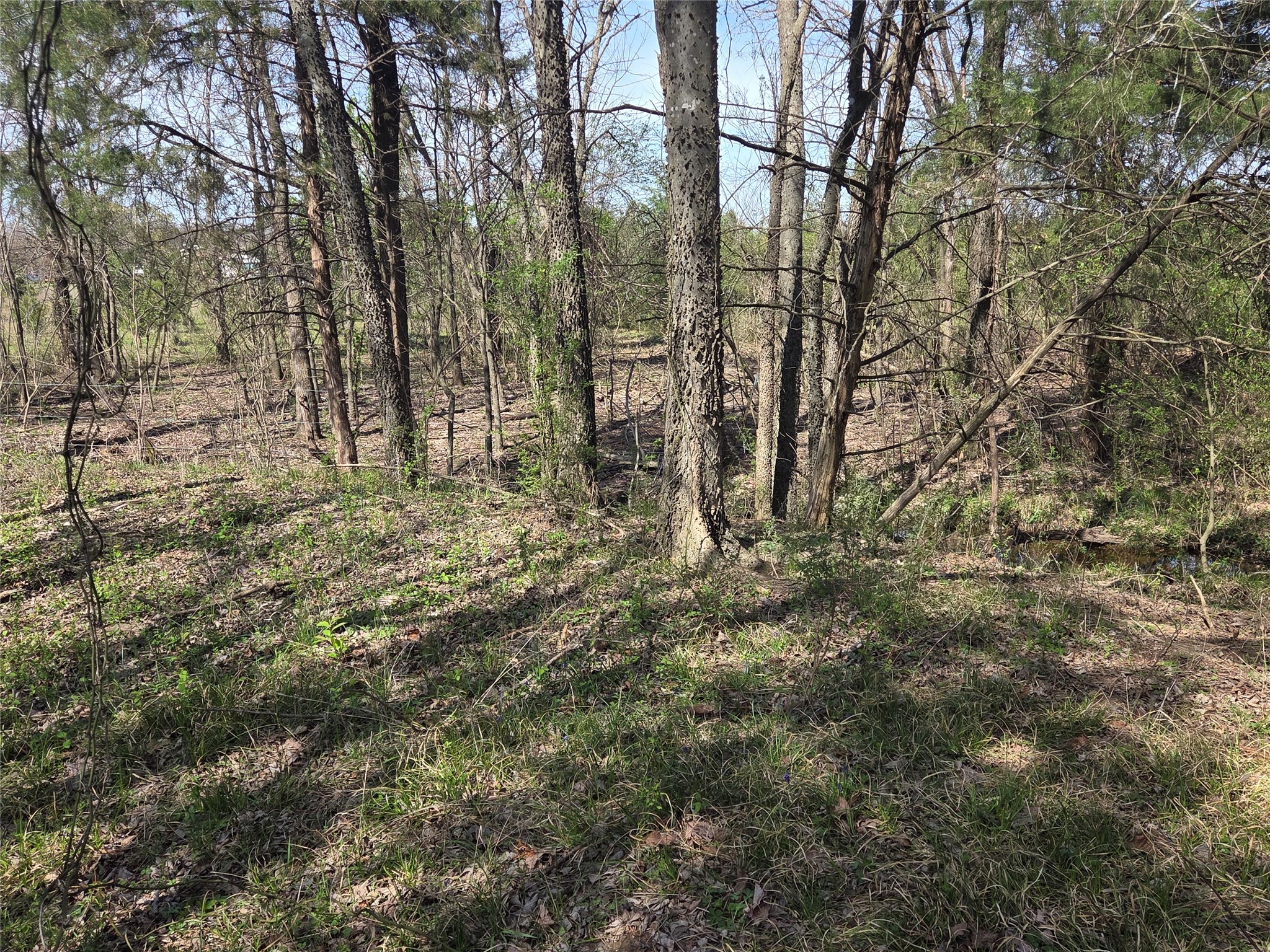 294 County Road 2809 Honey Grove TX 75446