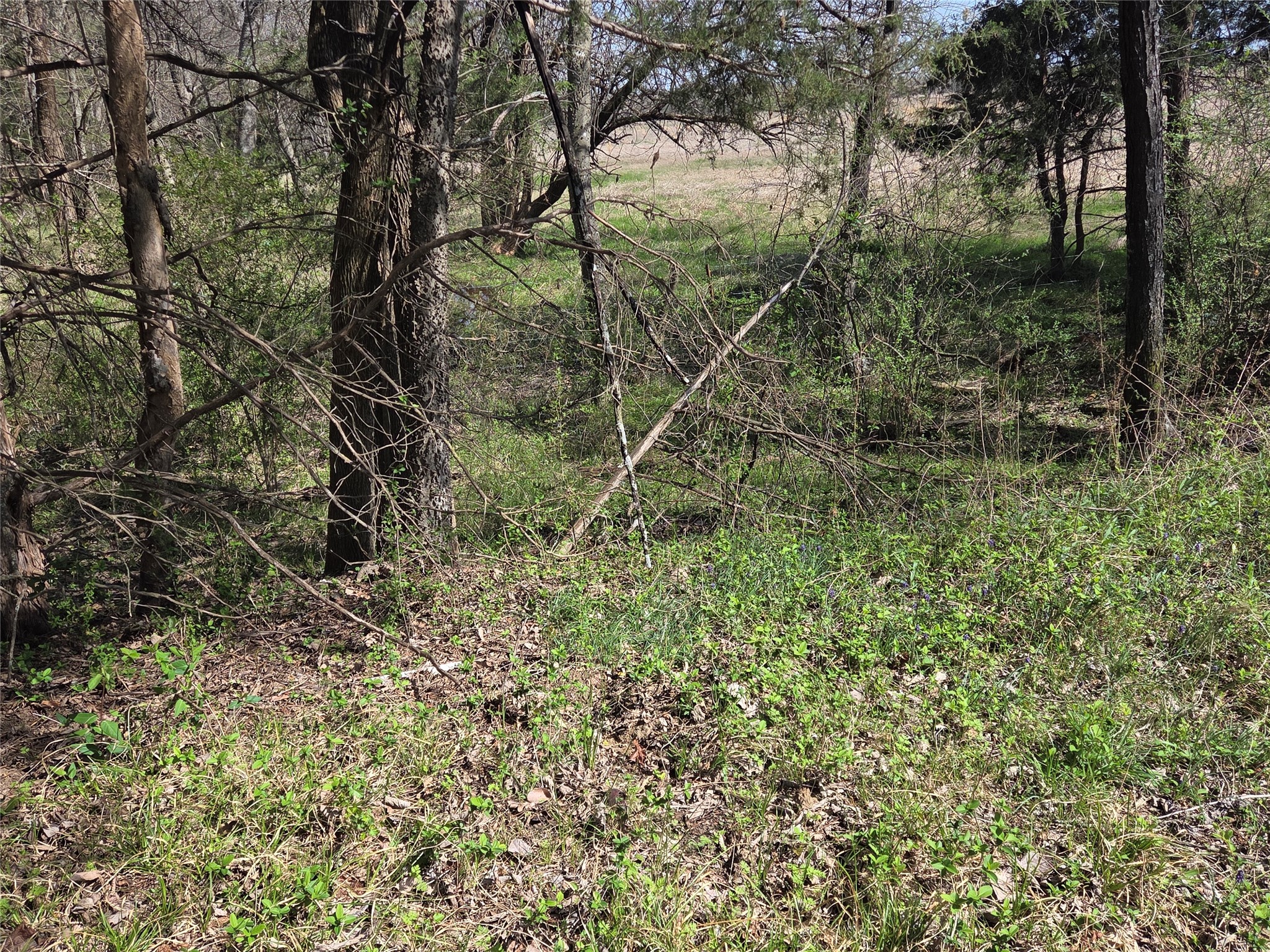 294 County Road 2809 Honey Grove TX 75446