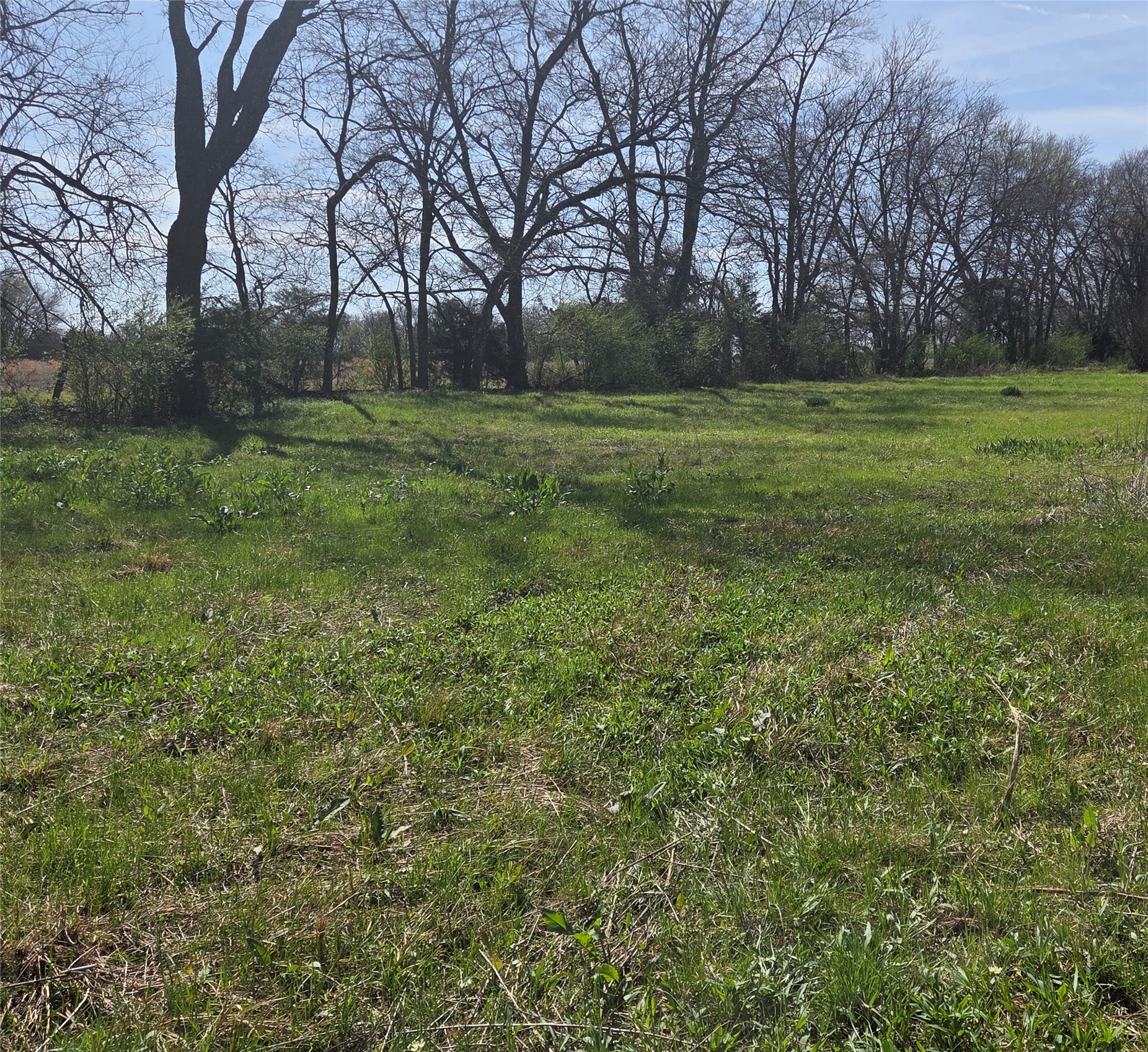 294 County Road 2809 Honey Grove TX 75446