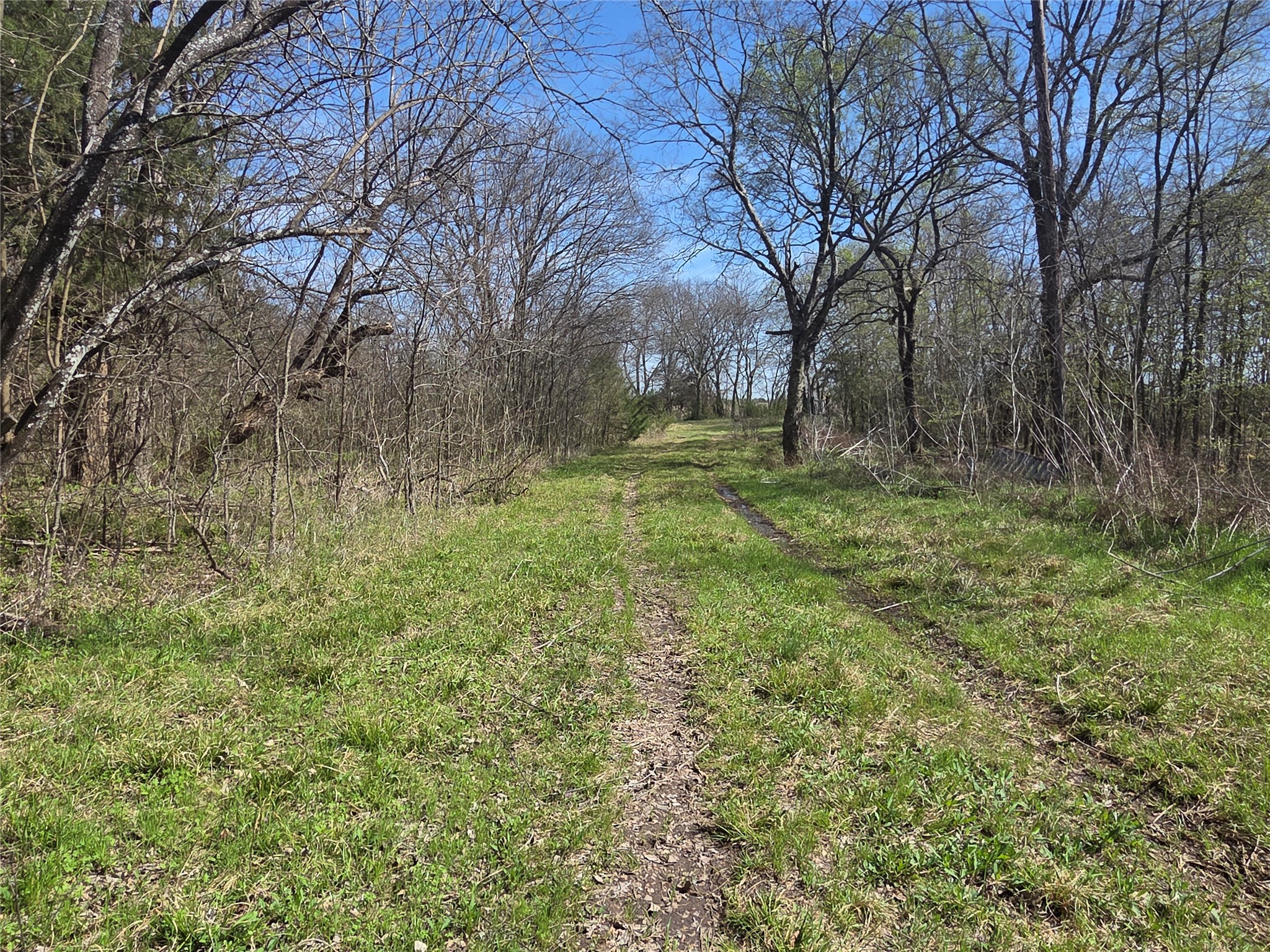 294 County Road 2809 Honey Grove TX 75446
