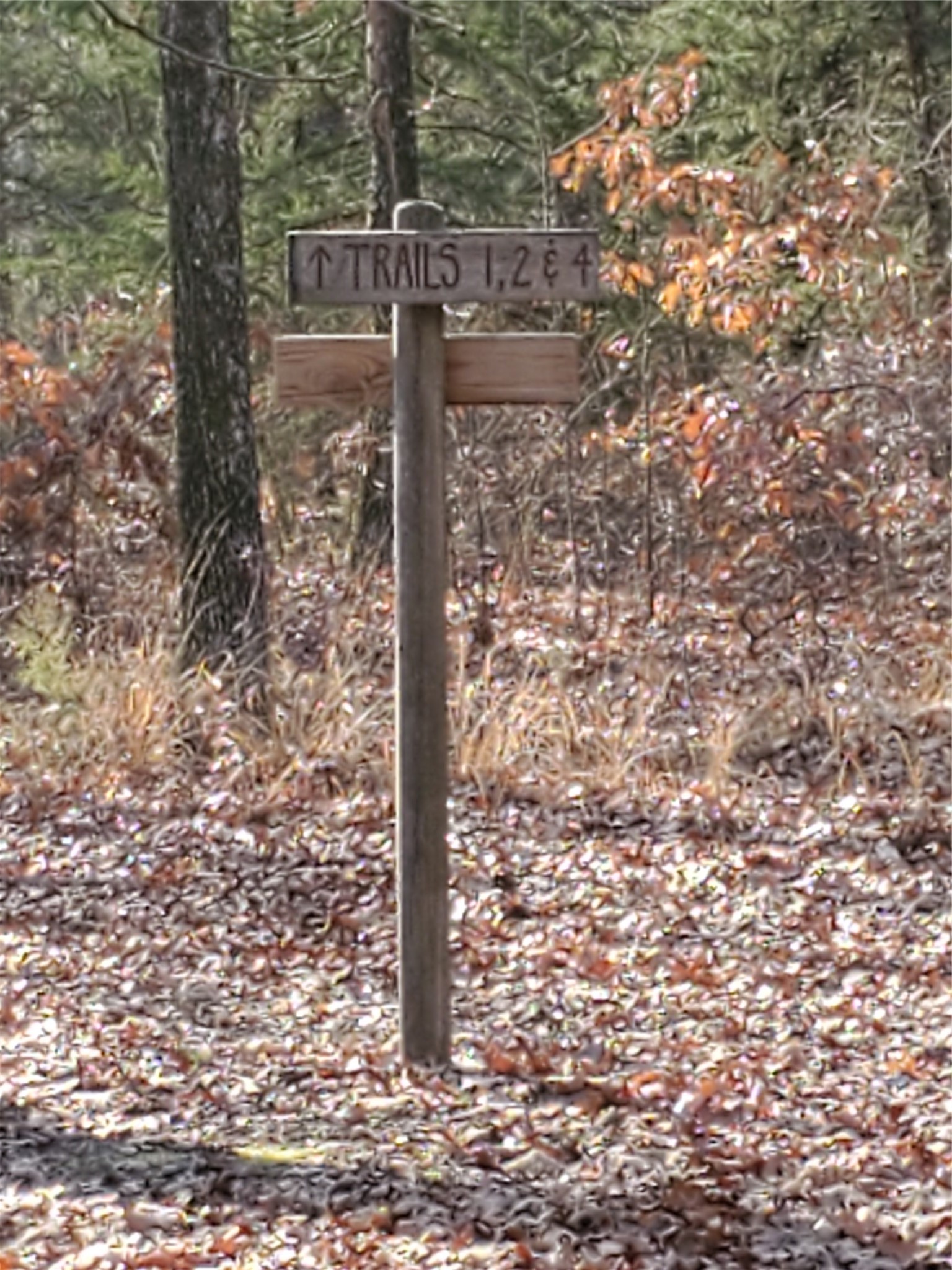 294 County Road 2809 Honey Grove TX 75446