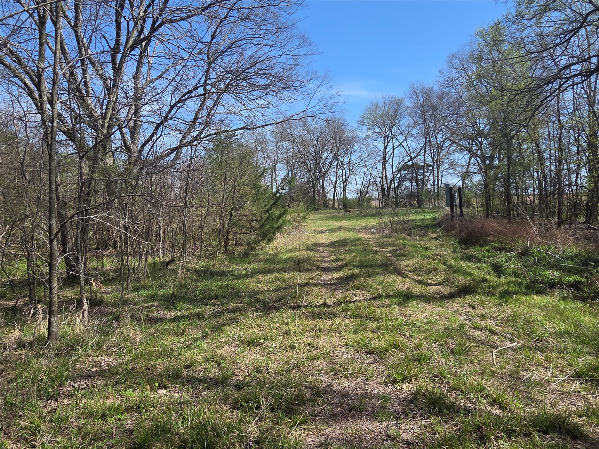 294 County Road 2809 Honey Grove TX 75446