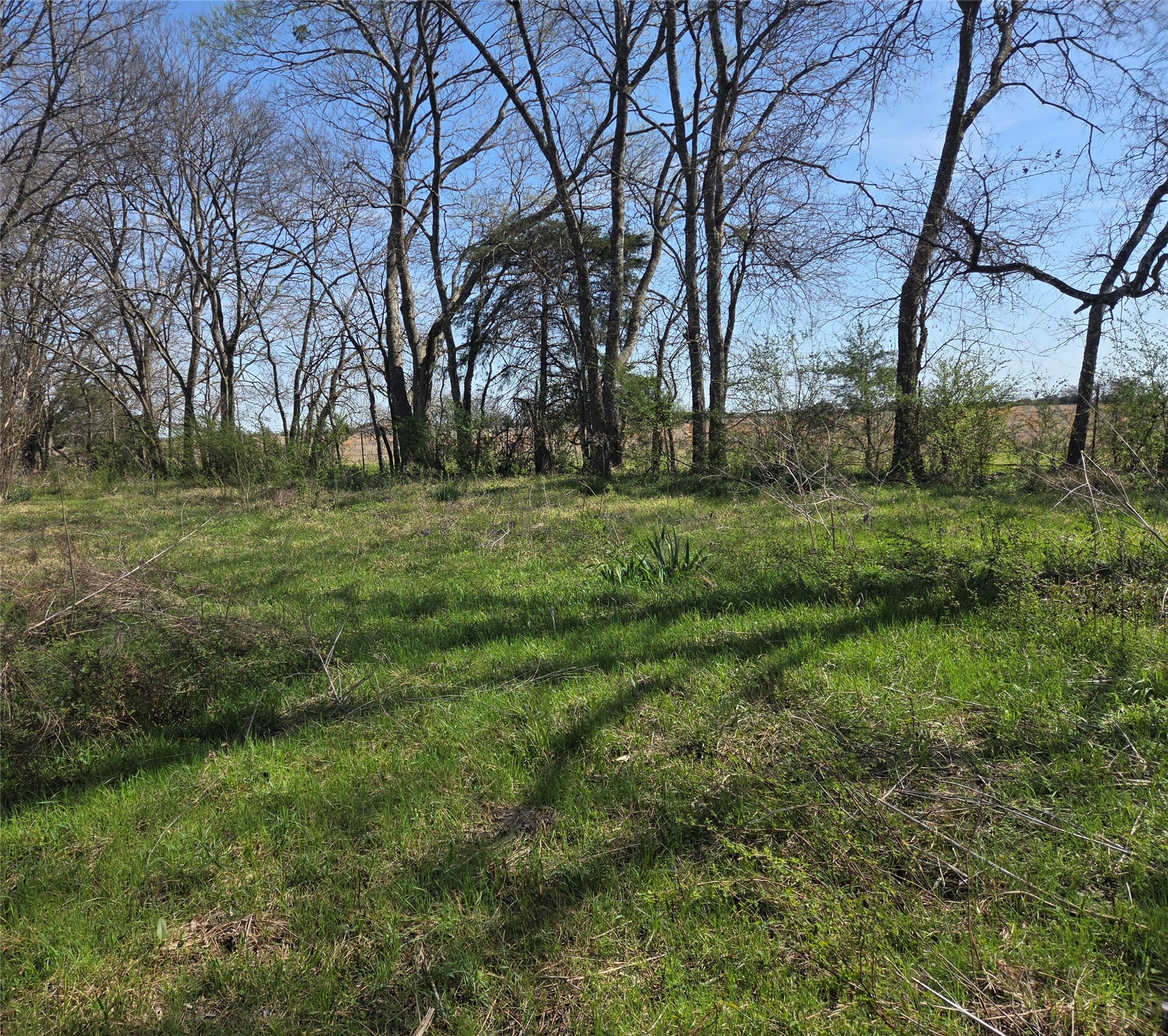 294 County Road 2809 Honey Grove TX 75446