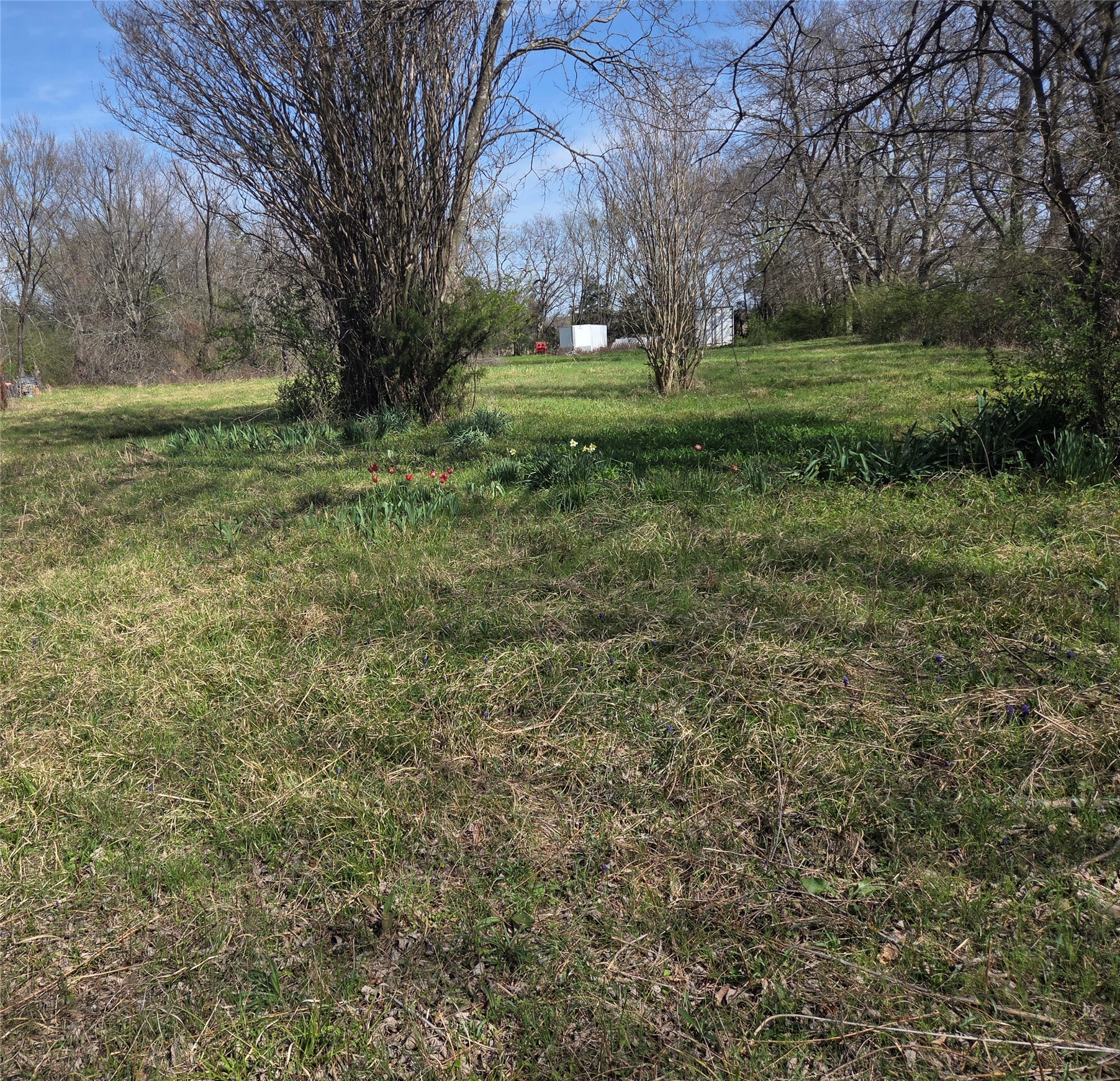 294 County Road 2809 Honey Grove TX 75446
