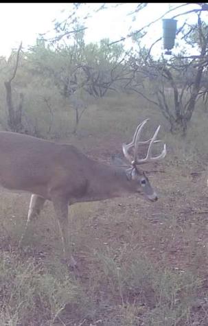 1400 Hammond Road Quanah TX 79252