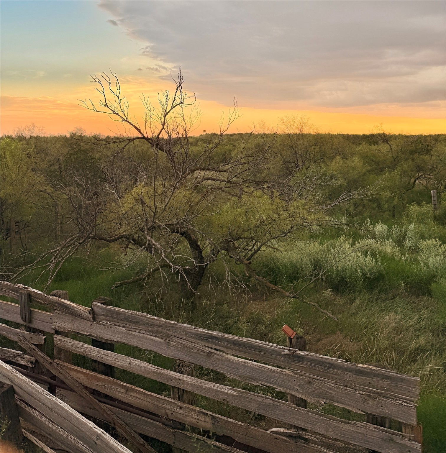 1400 Hammond Road Quanah TX 79252