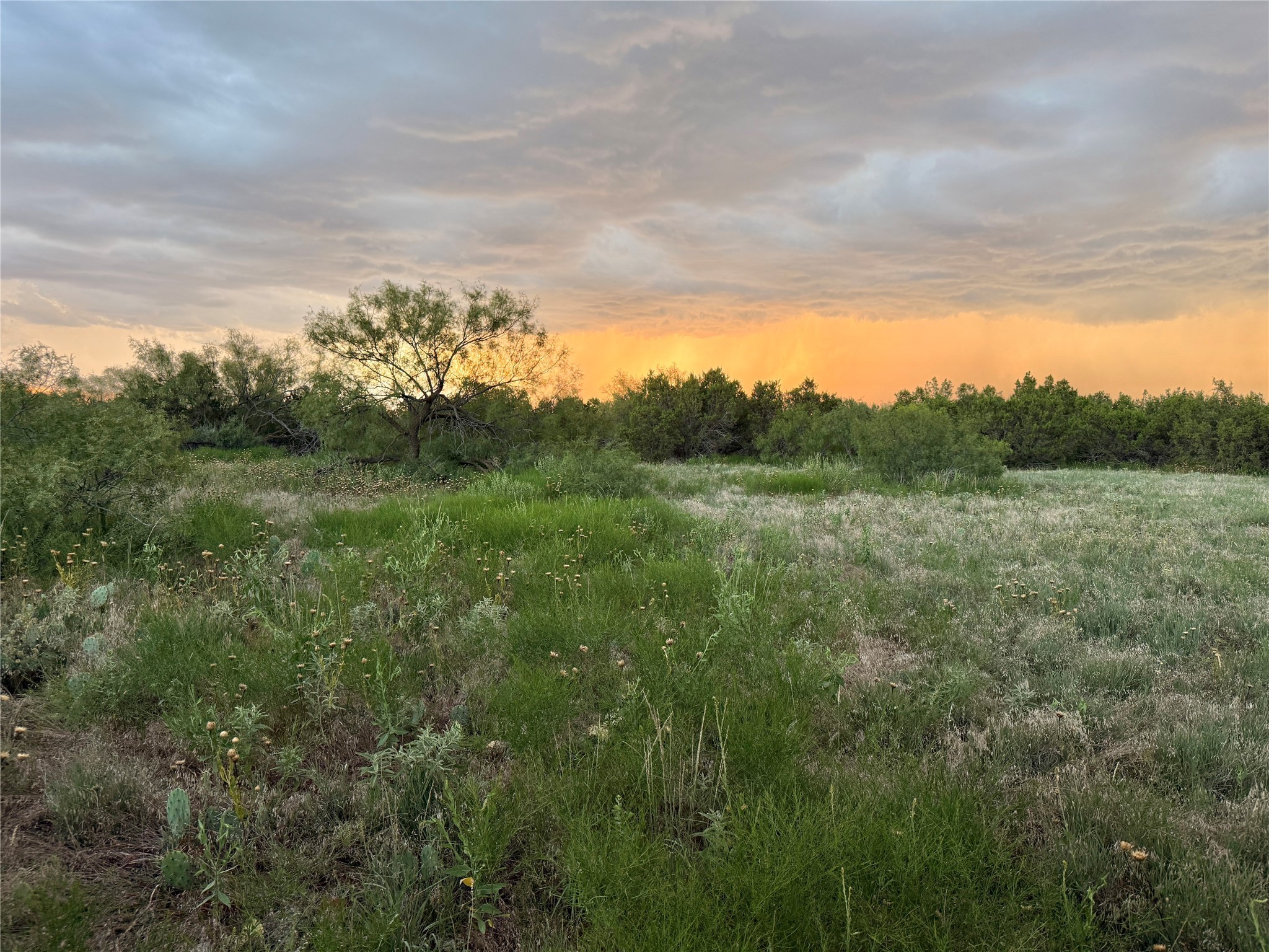 1400 Hammond Road Quanah TX 79252