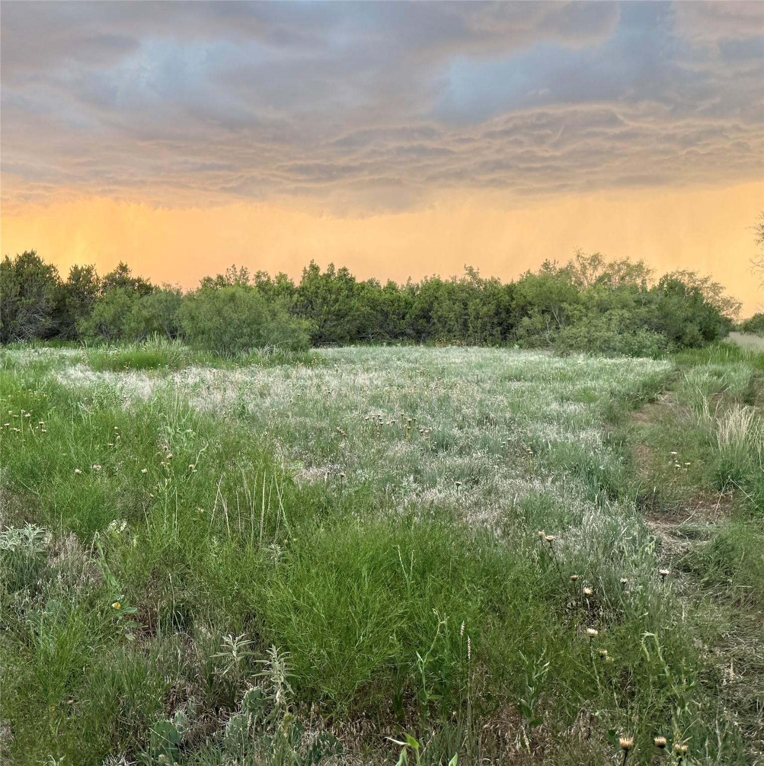 1400 Hammond Road Quanah TX 79252