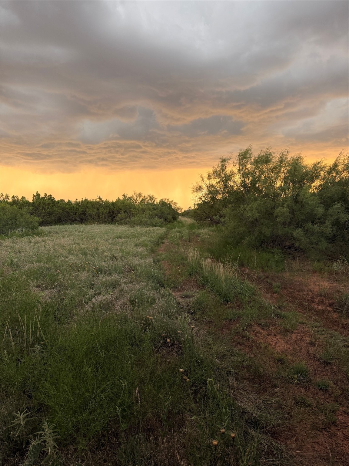 1400 Hammond Road Quanah TX 79252