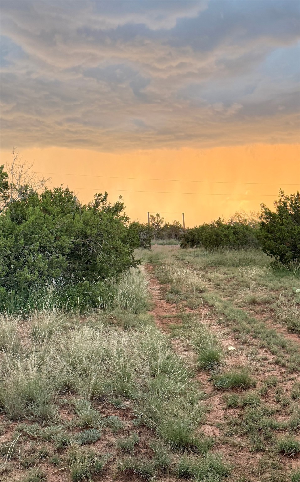 1400 Hammond Road Quanah TX 79252