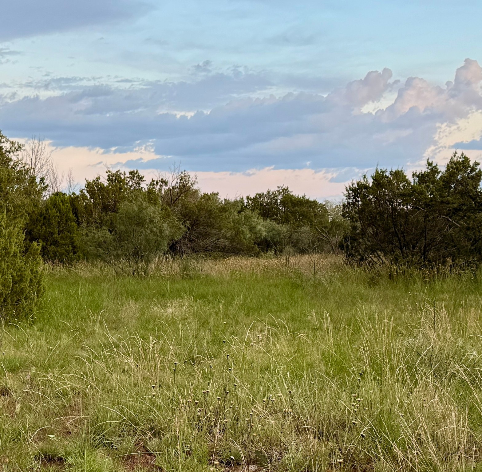 1400 Hammond Road Quanah TX 79252