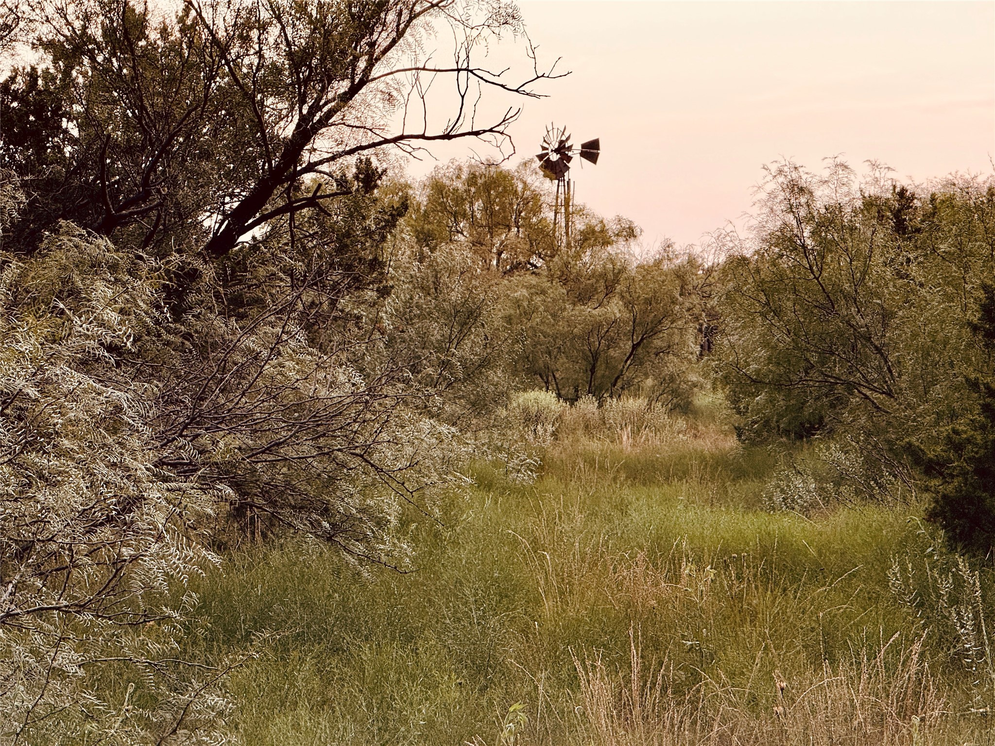 1400 Hammond Road Quanah TX 79252