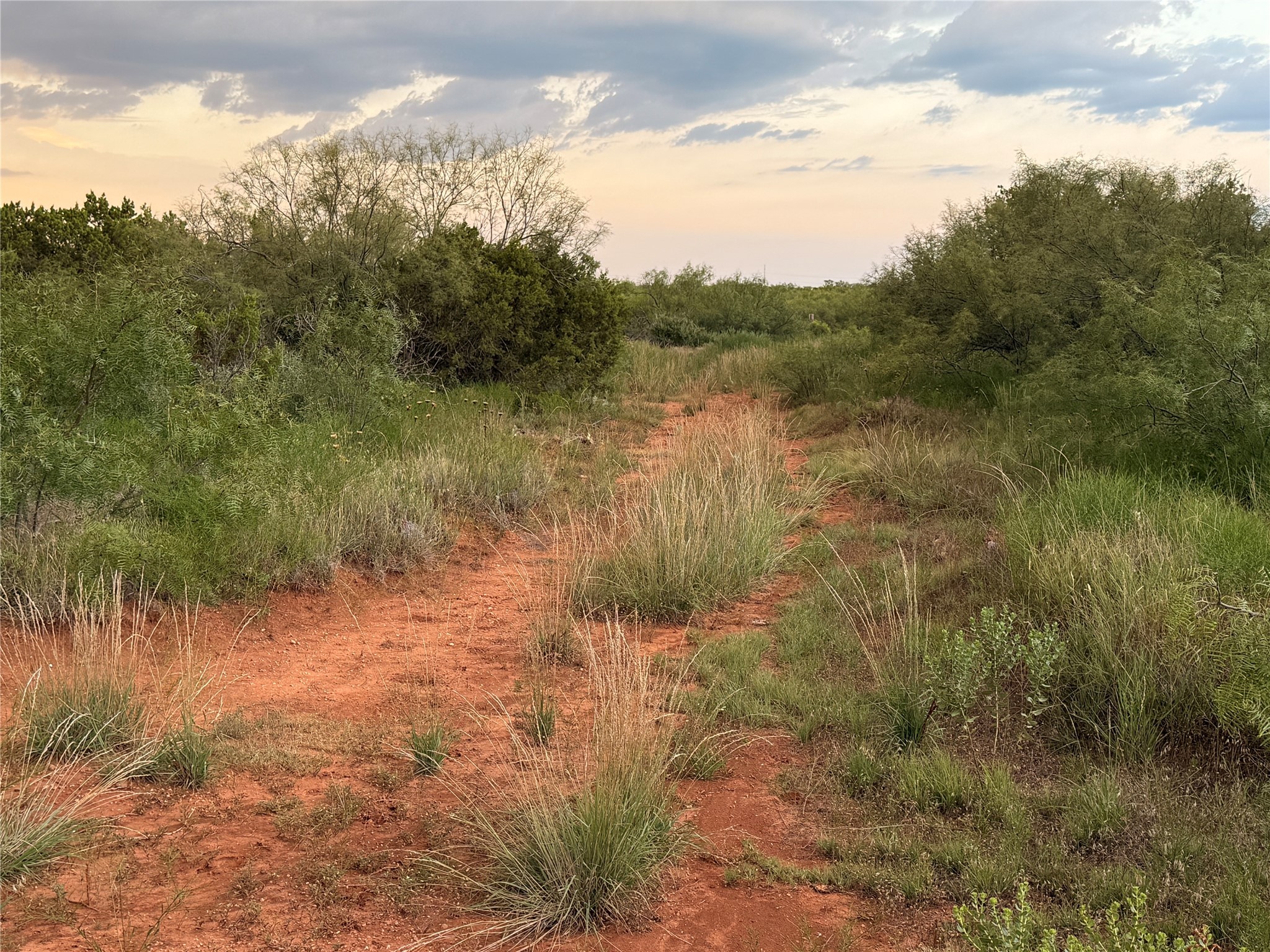1400 Hammond Road Quanah TX 79252