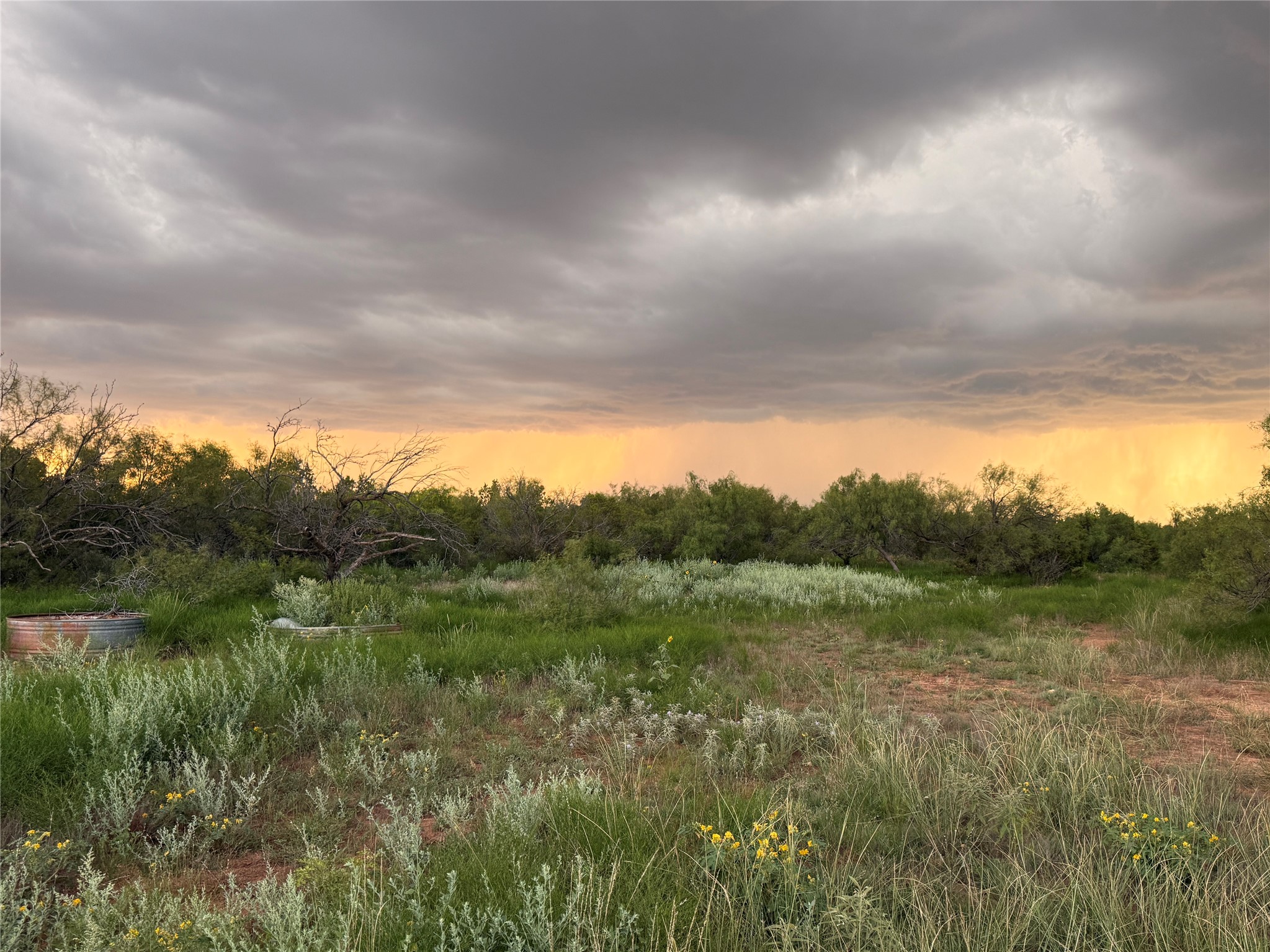 1400 Hammond Road Quanah TX 79252
