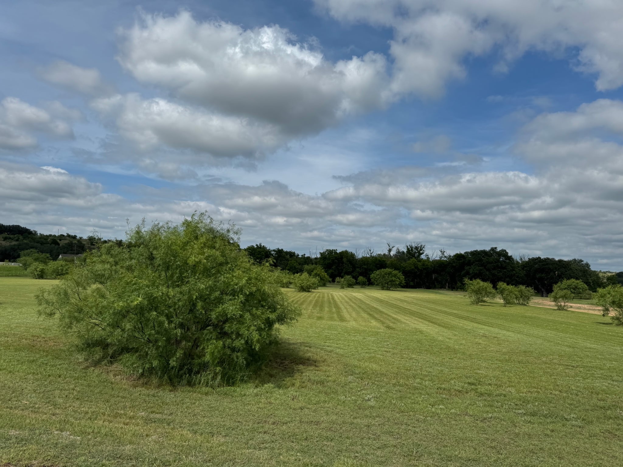 Tbd Mercers Preserve Road Comanche TX 76442