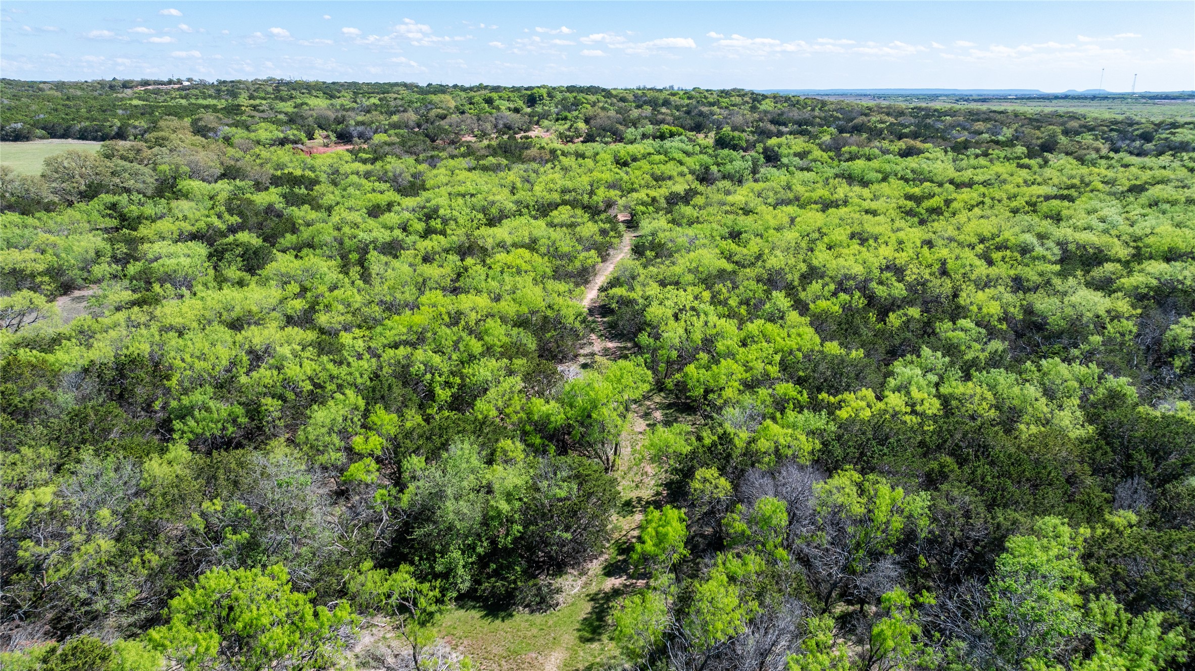 Tbd County Road 150 Tuscola TX 79562