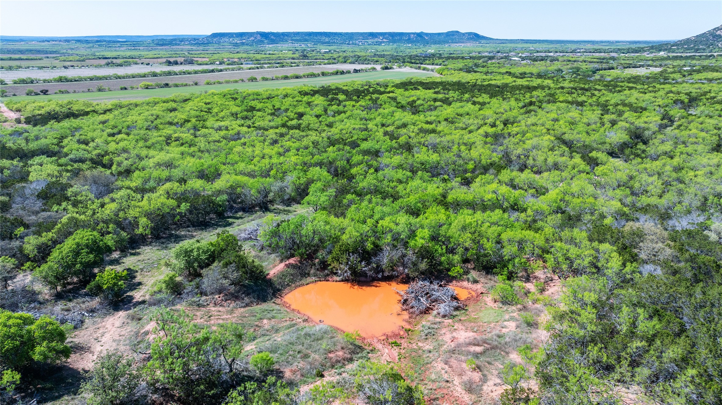 Tbd County Road 150 Tuscola TX 79562