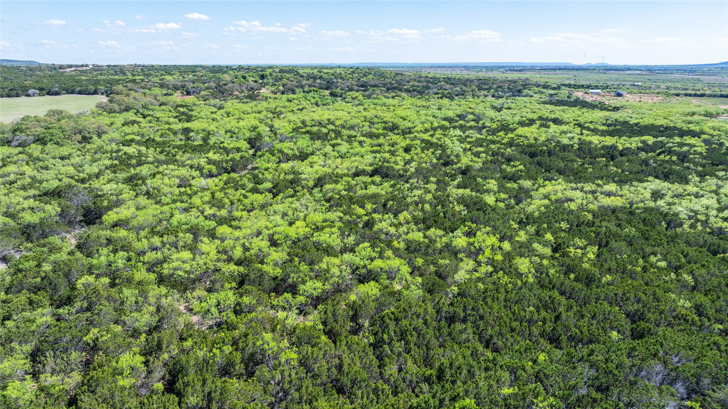 Tbd County Road 150 Tuscola TX 79562