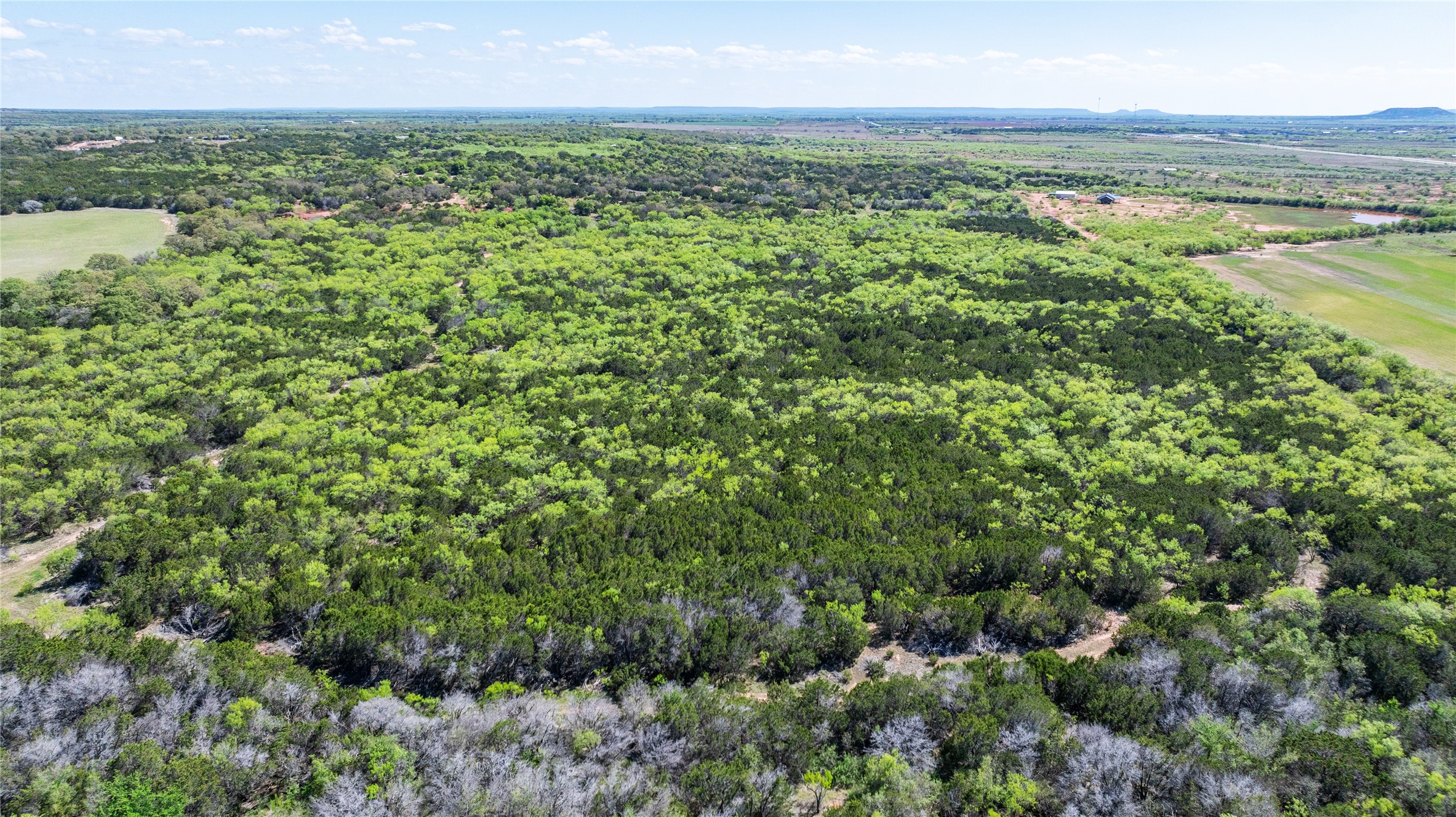 Tbd County Road 150 Tuscola TX 79562