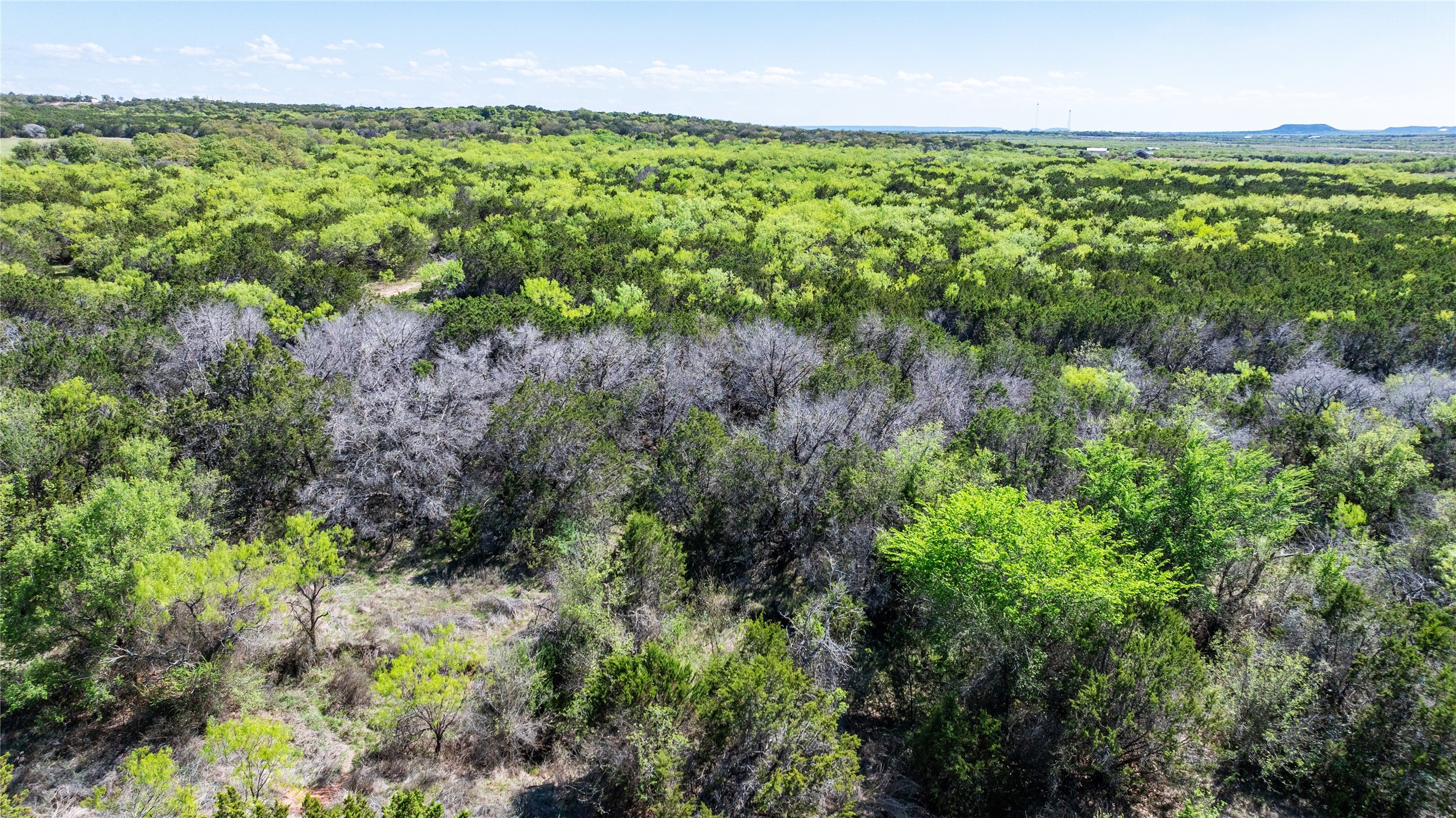Tbd County Road 150 Tuscola TX 79562