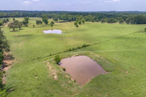 17104 County Road 1100 Flint TX 75762