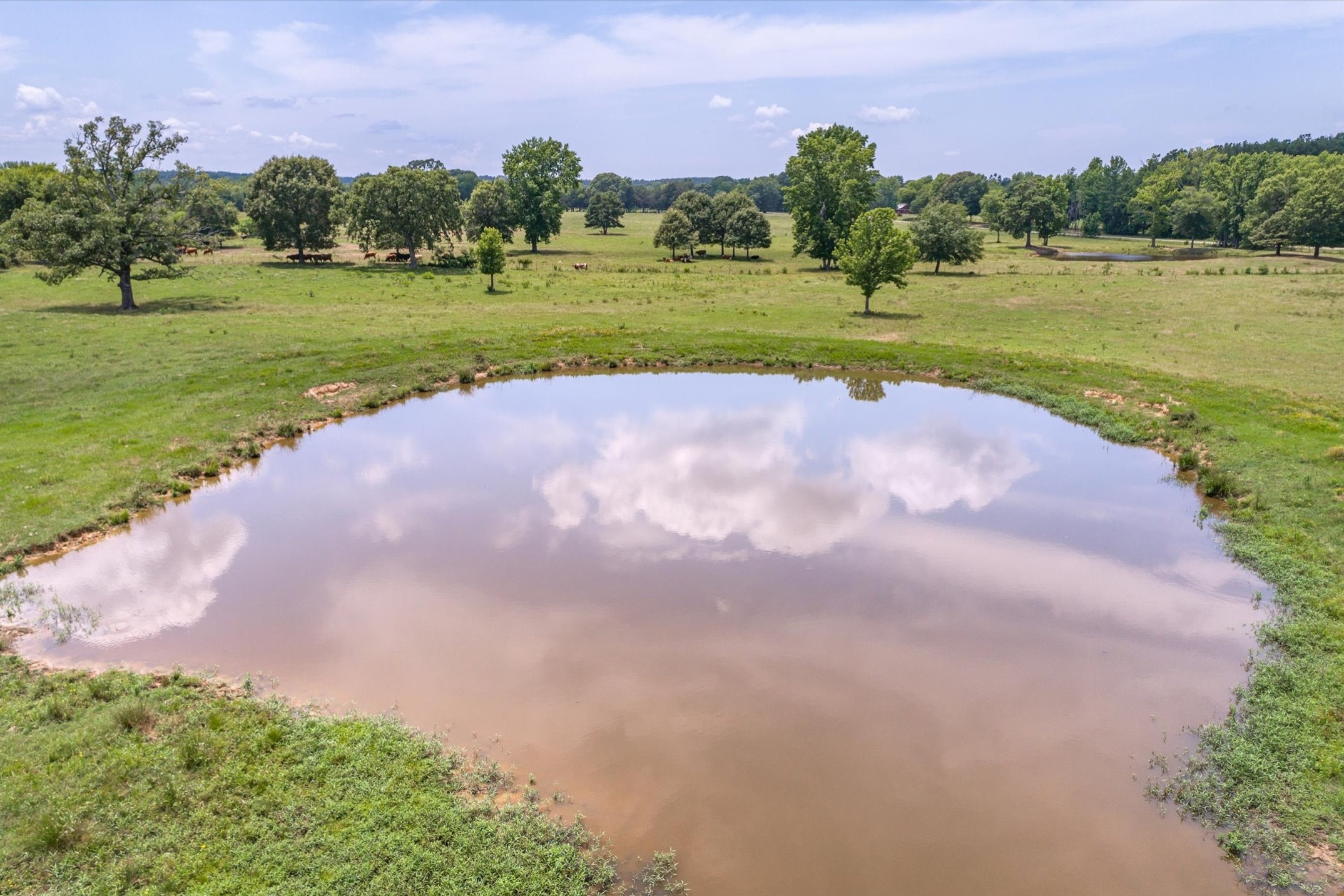 17104 County Road 1100 Flint TX 75762