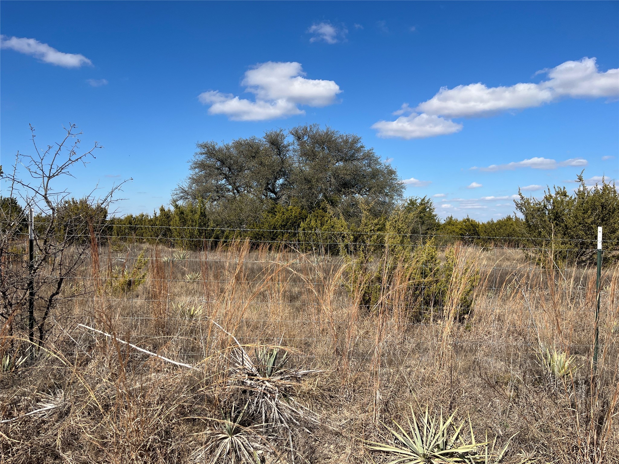 Tbd County Road 129 Hico TX 76457