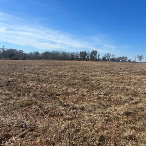 000 Vz County Road 4406 Ben Wheeler TX 75754
