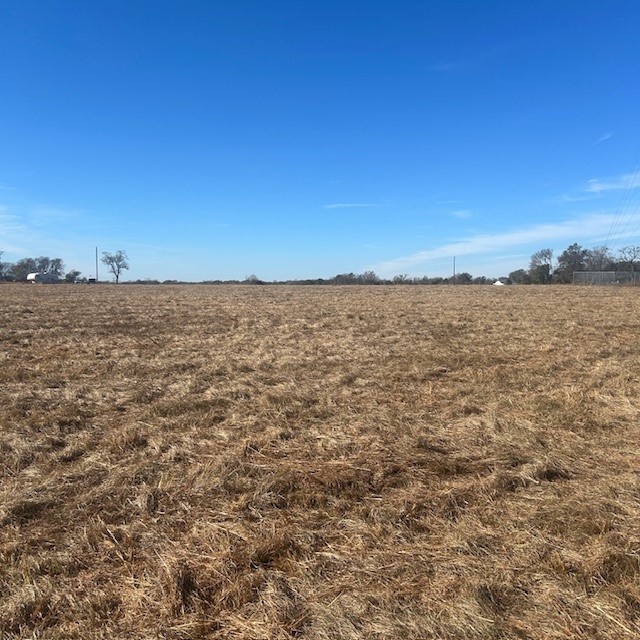 000 Vz County Road 4406 Ben Wheeler TX 75754