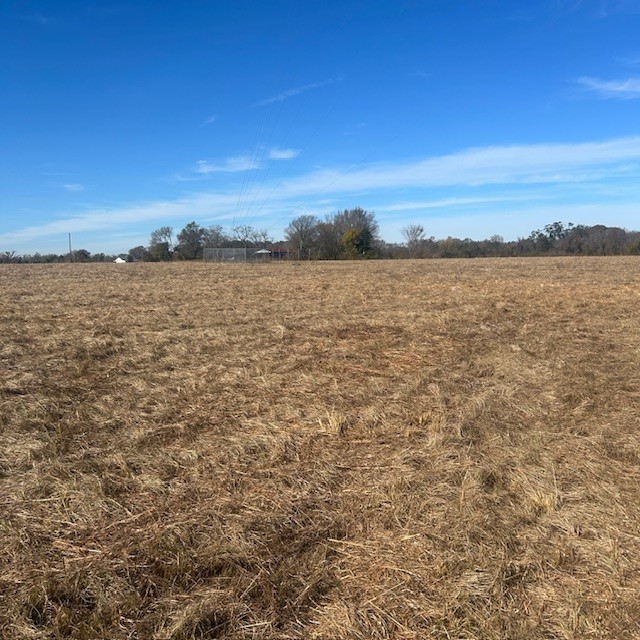 000 Vz County Road 4406 Ben Wheeler TX 75754